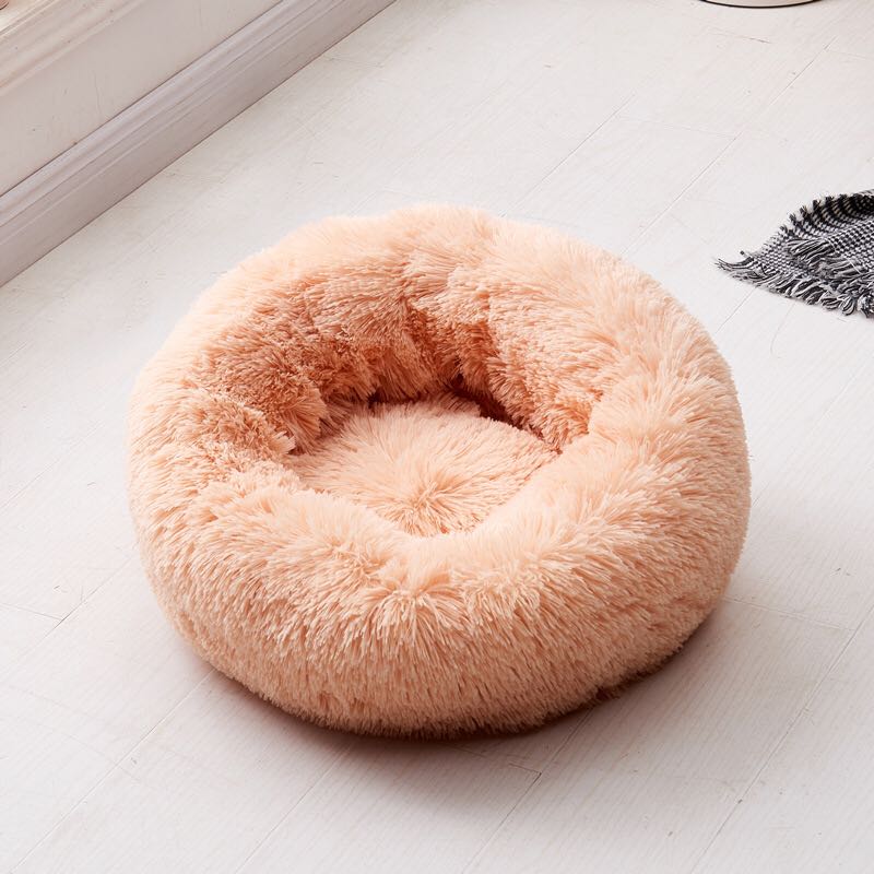 ( 50% OFF) Amazingly Comfortable Dog Bed