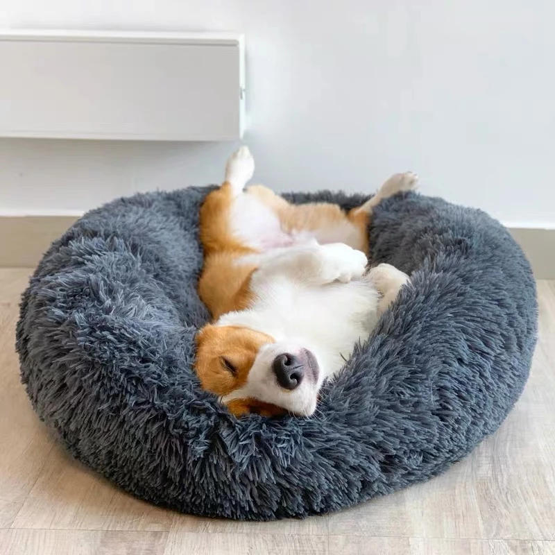 ( 50% OFF) Amazingly Comfortable Dog Bed